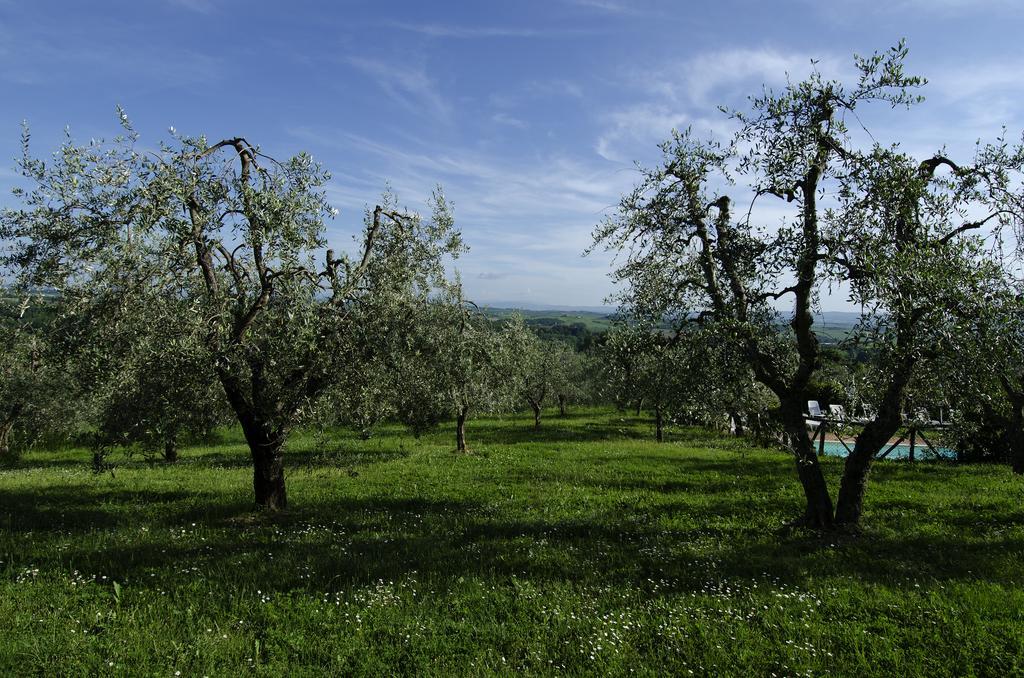 Agriturismo Poggio Bonelli Кастелнуово Берарденга Екстериор снимка