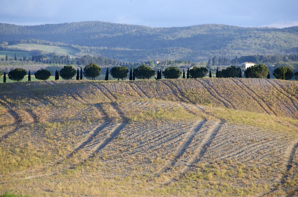 Agriturismo Poggio Bonelli Кастелнуово Берарденга Екстериор снимка