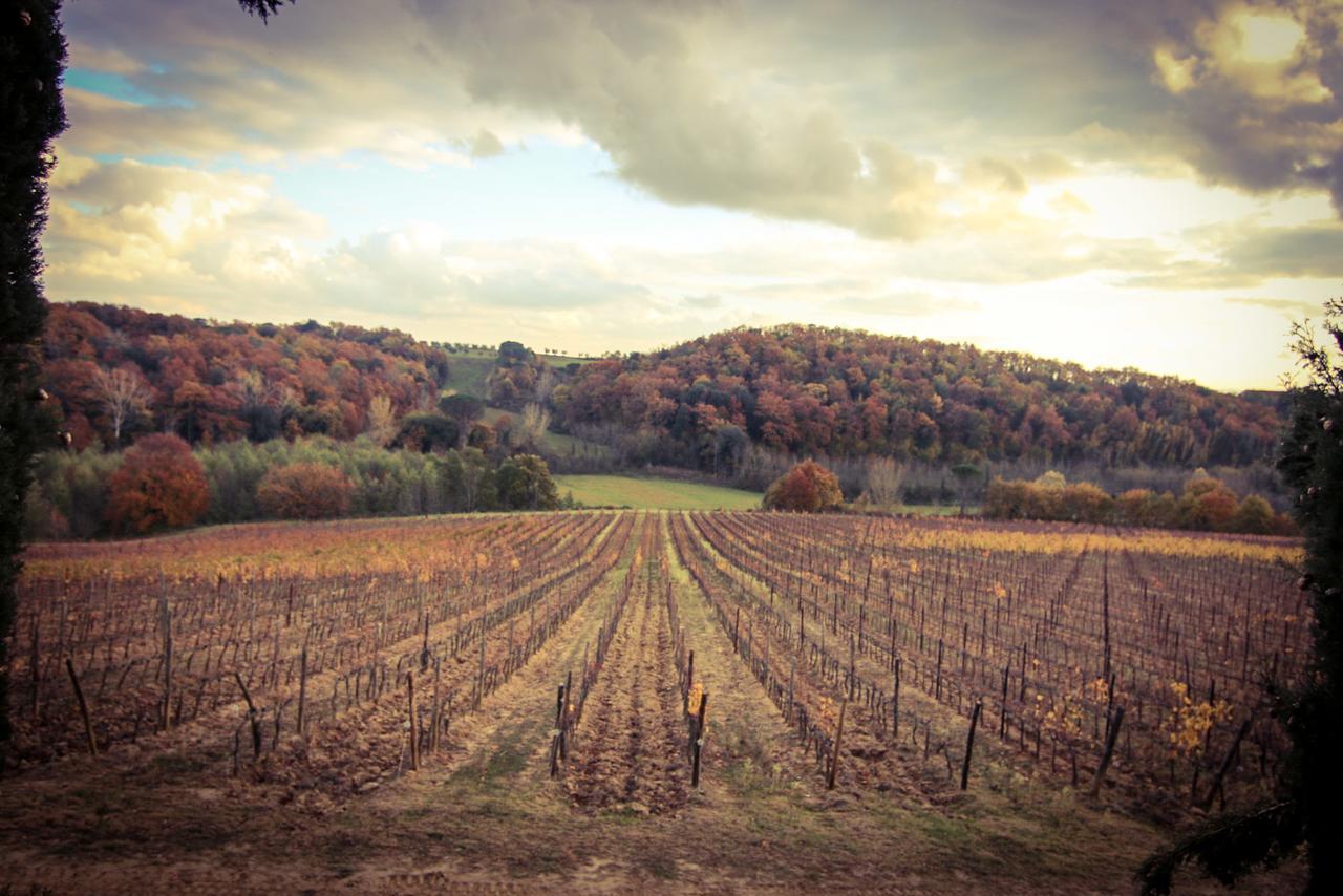 Agriturismo Poggio Bonelli Кастелнуово Берарденга Екстериор снимка