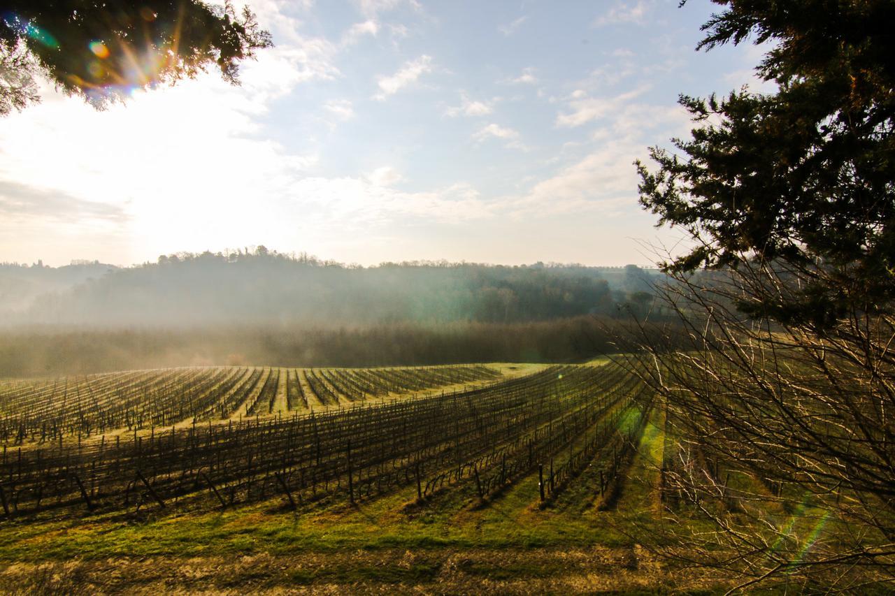 Agriturismo Poggio Bonelli Кастелнуово Берарденга Екстериор снимка